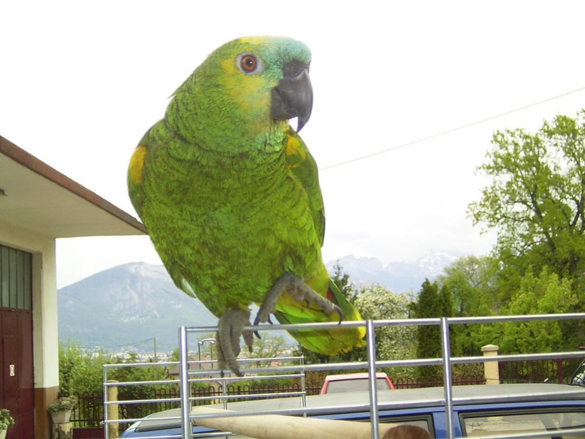 Bed and Breakfast Le Paon Bleu Annecy Poisy Esterno foto